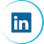 LinkedIn Icon